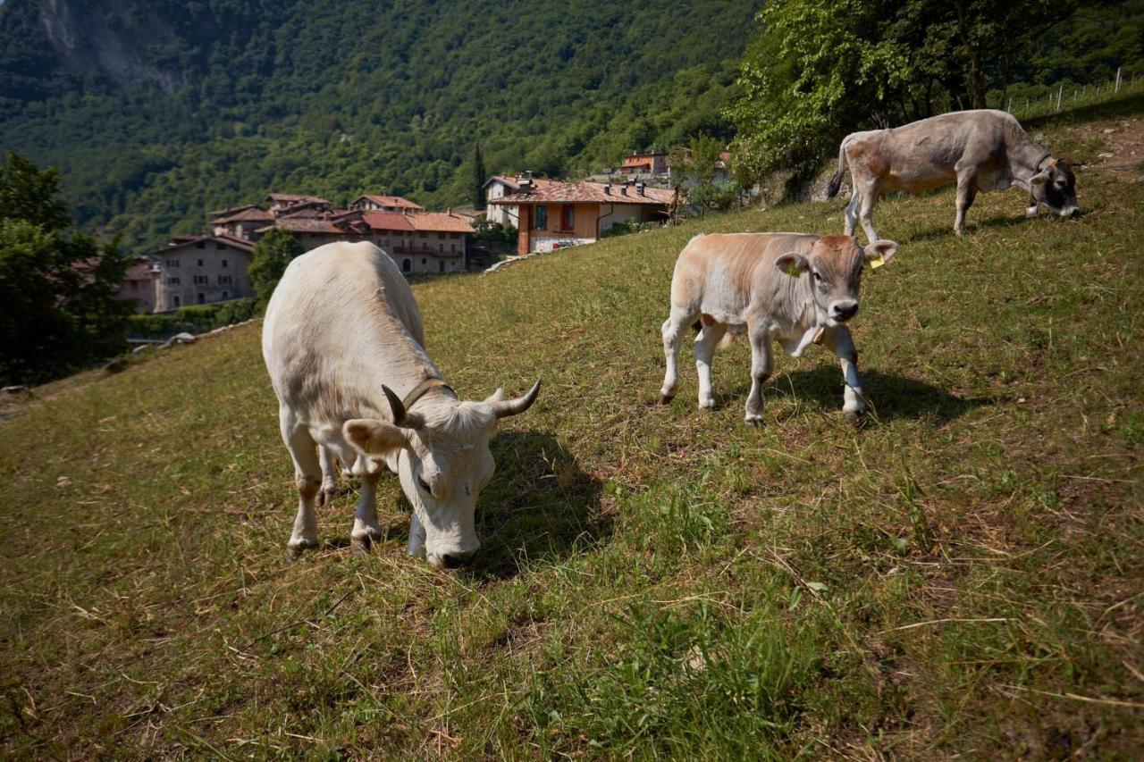 Le Terre Di Gu Villa Tenno Bagian luar foto